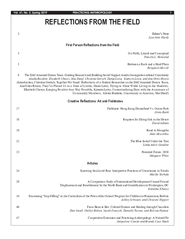 (PDF) REFLECTIONS FROM THE FIELD First Person Reflections from the ...