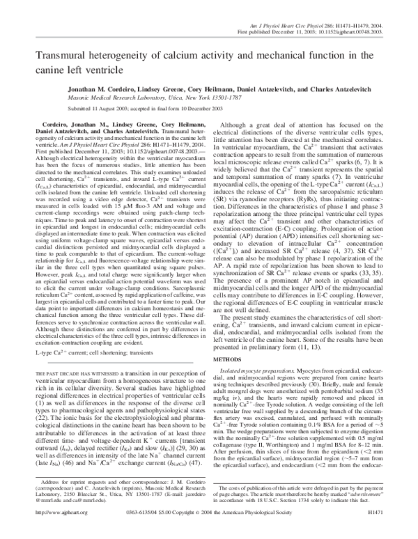 (PDF) Transmural heterogeneity of calcium activity and mechanical ...