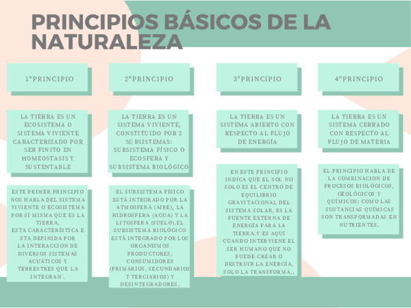 Los 8 Principios De La Naturaleza www.academia.edu