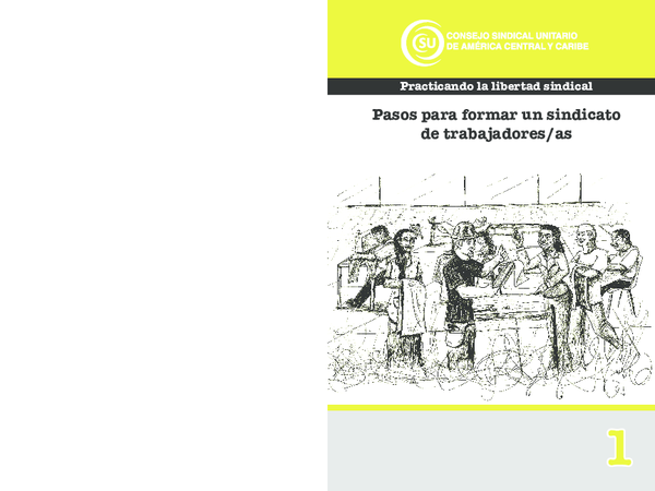 (PDF) Practicando la libertad sindical Pasos para formar un sindicato ...