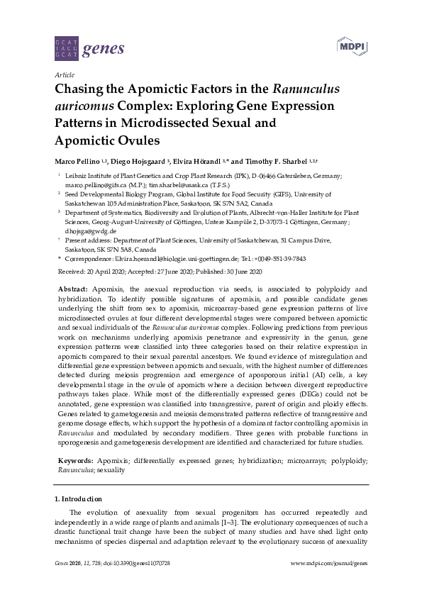(PDF) Chasing the Apomictic Factors in the Ranunculus auricomus Complex ...