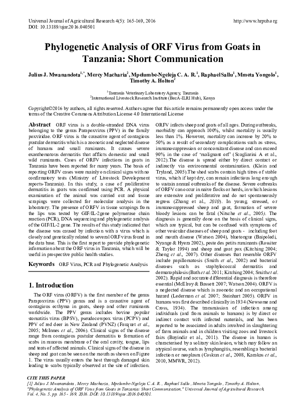 (PDF) Diagnosis and phylogenetic analysis of Orf virus from goats in ...