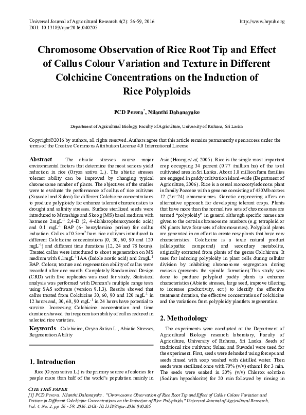 (PDF) Chromosome Observation of Rice Root Tip and Effect of Callus ...