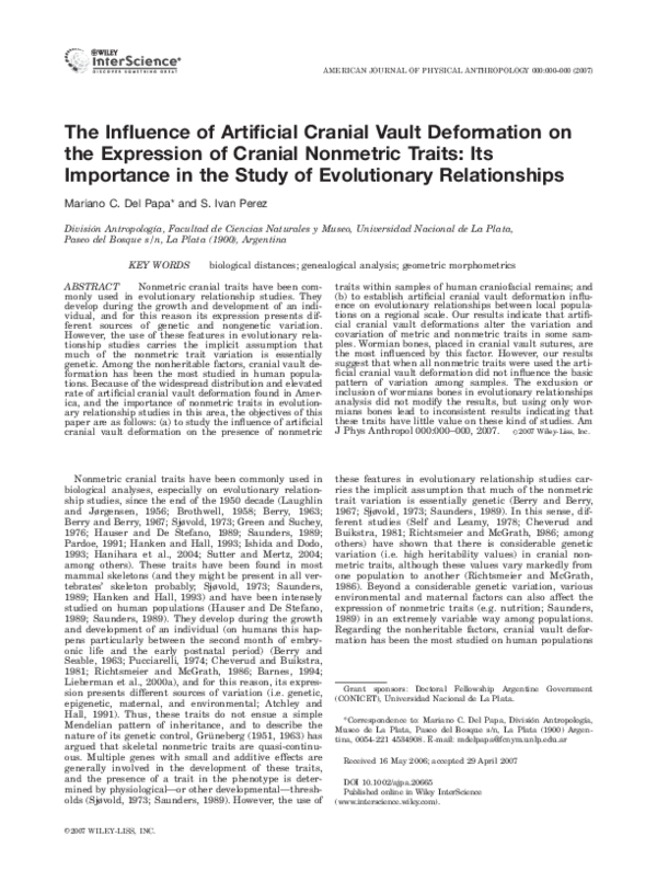 Essay about deformations 05 picture