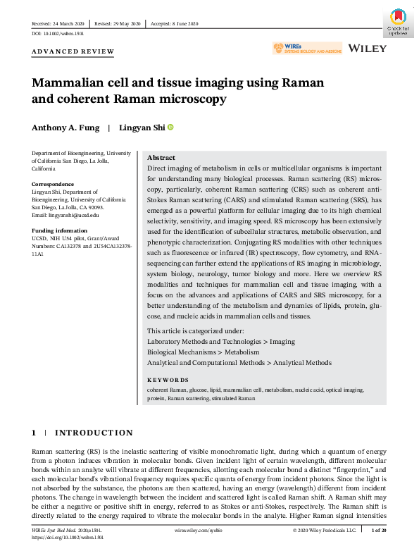 (PDF) Mammalian cell and tissue imaging using Raman and coherent Raman ...