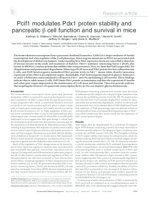 (PDF) Pcif1 modulates Pdx1 protein stability and pancreatic β cell ...