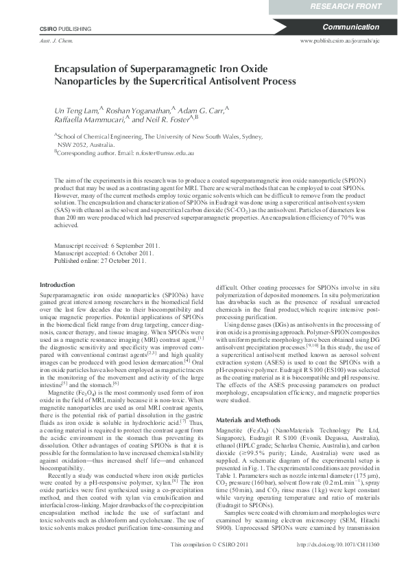 (PDF) Encapsulation of Superparamagnetic Iron Oxide Nanoparticles by ...