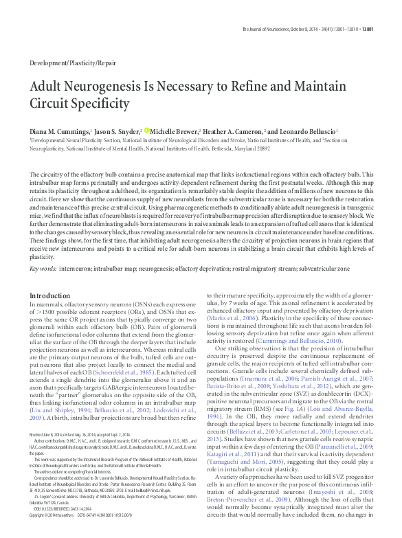 (PDF) Adult neurogenesis is necessary to refine and maintain circuit ...