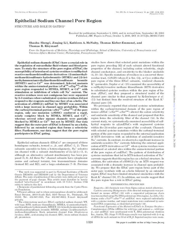 (PDF) Epithelial Sodium Channel Pore Region. STRUCTURE AND ROLE IN GATING