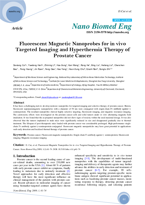 (PDF) Fluorescent Magnetic Nanoprobes for in vivo Targeted Imaging and ...
