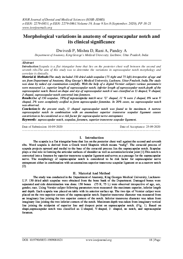 (PDF) Morphological variations in anatomy of suprascapular notch and ...