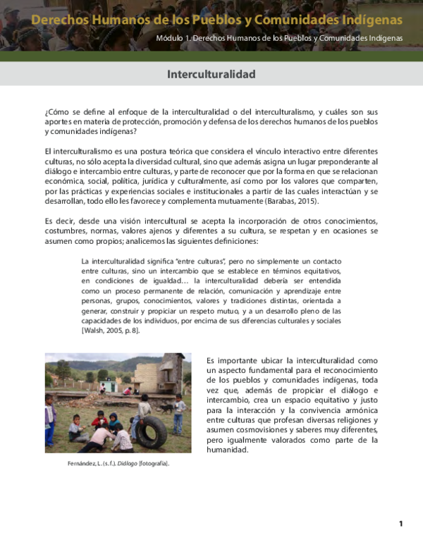 (PDF) Derechos Humanos de los Pueblos y Comunidades Indígenas Módulo 1 ...