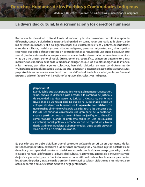 (PDF) Derechos Humanos de los Pueblos y Comunidades Indígenas Módulo 1 ...