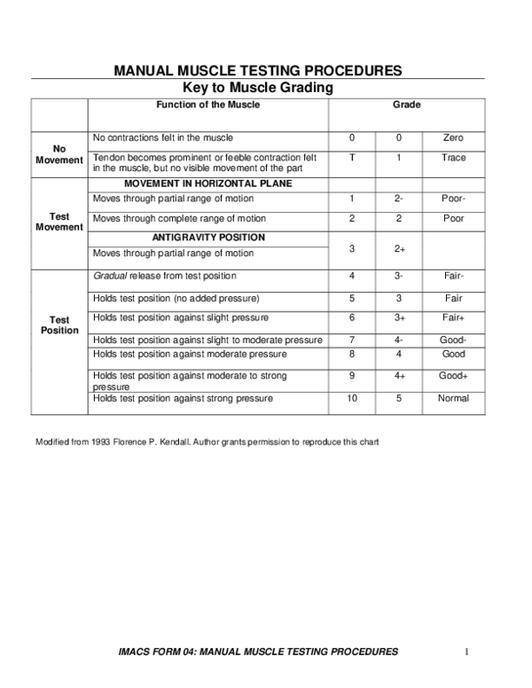 (PDF) MANUAL MUSCLE TESTING PROCEDURES Key to Muscle Grading