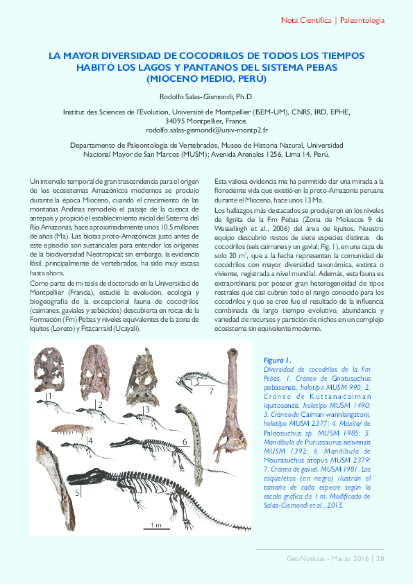 (PDF) LA MAYOR DIVERSIDAD DE COCODRILOS DE TODOS LOS TIEMPOS HABITÓ LOS ...