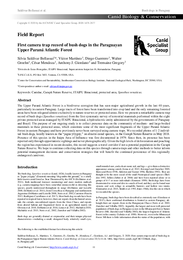 Animal Ecology Terrestrial Mammals Conservation Research Papers Academia Edu