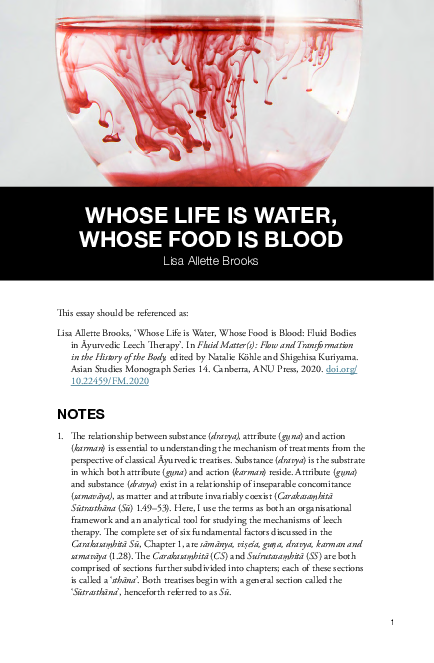 Leech therapy essay picture