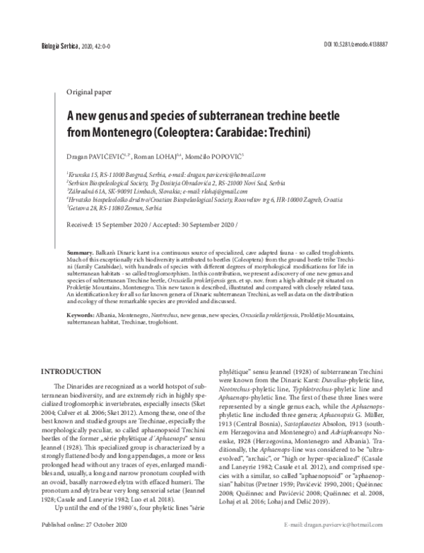 (PDF) A new genus and species of subterranean trechine beetle from ...