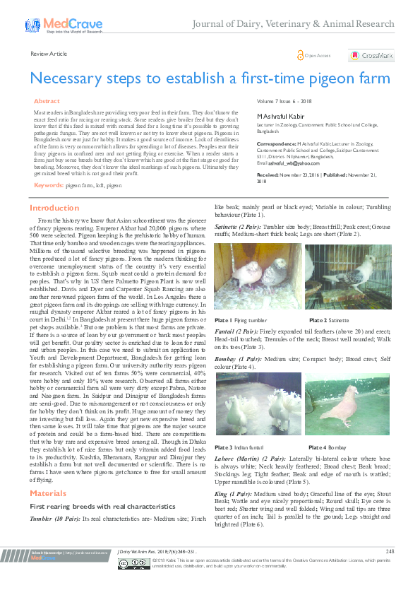 (PDF) Necessary steps to establish a first-time pigeon farm