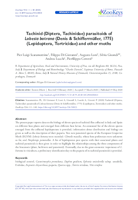 (PDF) Tachinid (Diptera, Tachinidae) parasitoids of Lobesia botrana ...