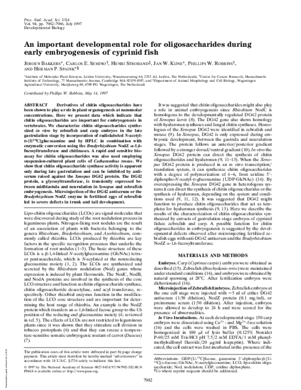 (PDF) An important developmental role for oligosaccharides during early