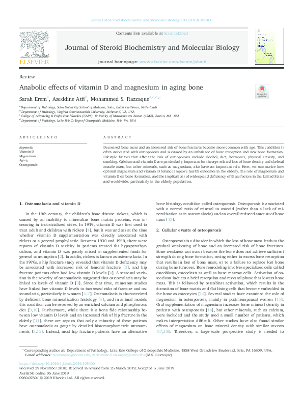 (PDF) Anabolic effects of vitamin D and magnesium in aging bone