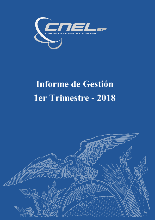 (DOC) Informe Gestion primer trimestre VF