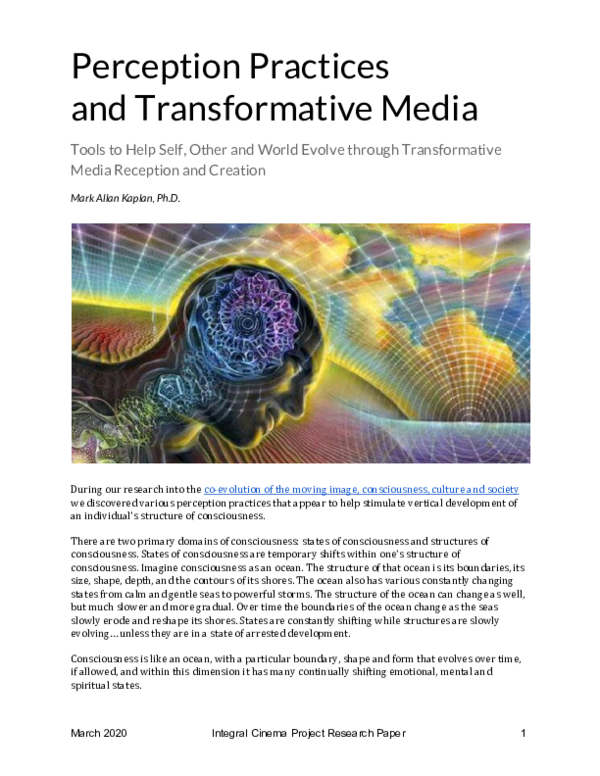 (PDF) Perception Practices and Transformative Media