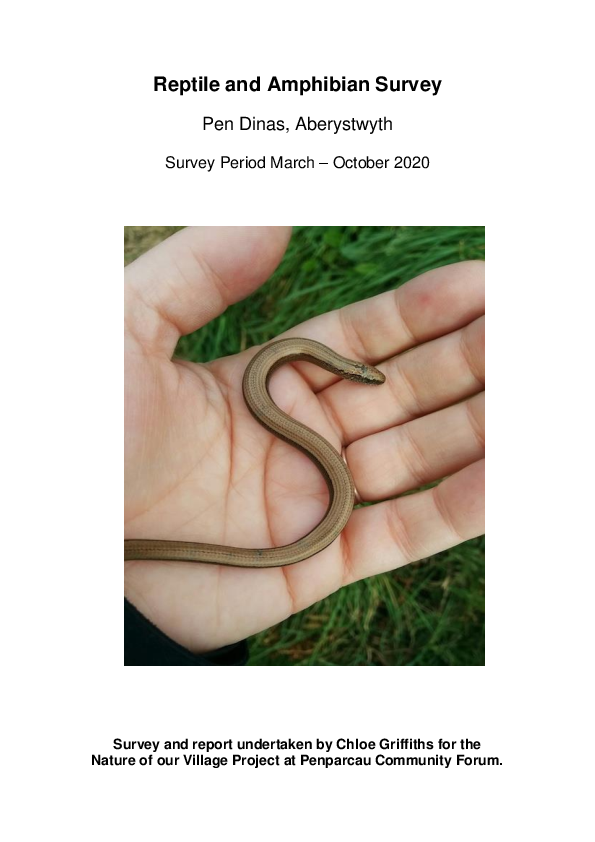 (PDF) Reptile and Amphibian Survey, Penparcau 2020 Chloe Griffiths