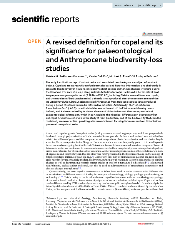 PDF) A revised definition for copal and its significance for