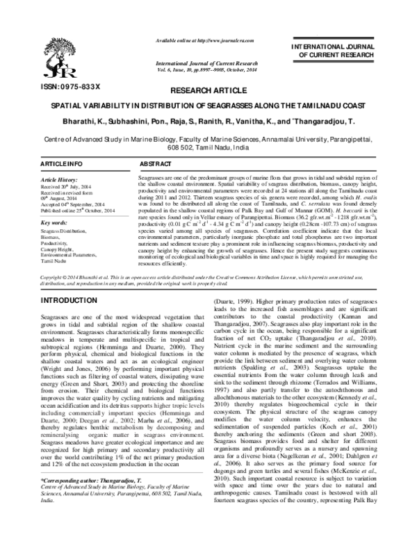 (PDF) SPATIAL VARIABILITY IN DISTRIBUTION OF SEAGRASSES ALONG THE ...