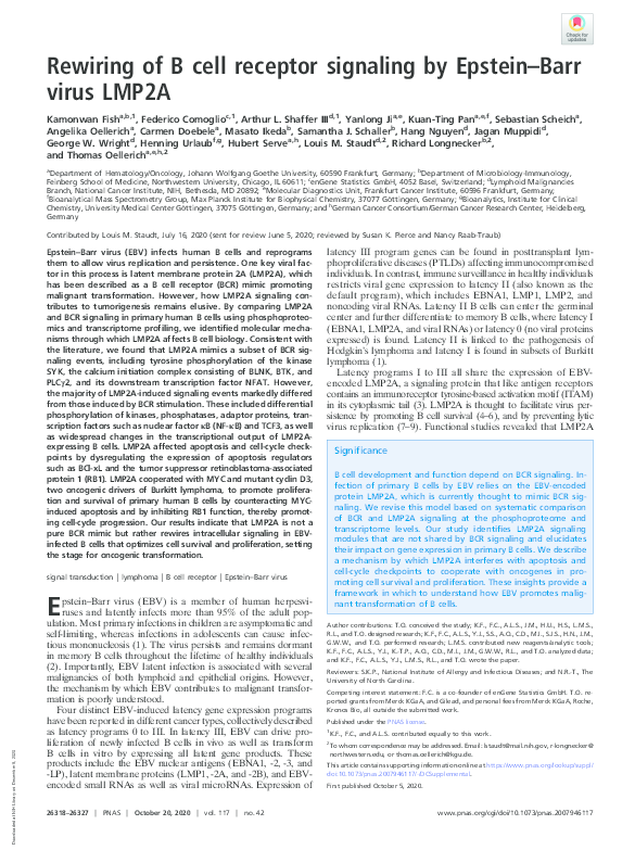 (PDF) Rewiring of B cell receptor signaling by Epstein-Barr virus LMP2A