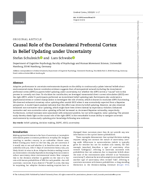 (PDF) Causal Role of the Dorsolateral Prefrontal Cortex in Belief ...