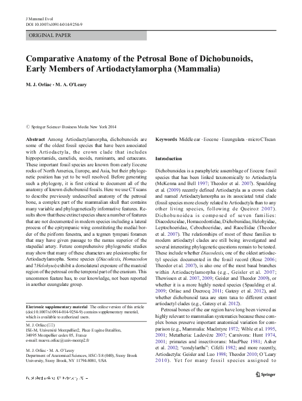 Comparative Anatomy of the Petrosal Bone of Dichobunoids, Early Members of Artiodactylamorpha (Mammalia)
