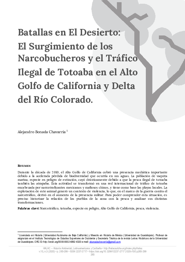 Desierto essays picture