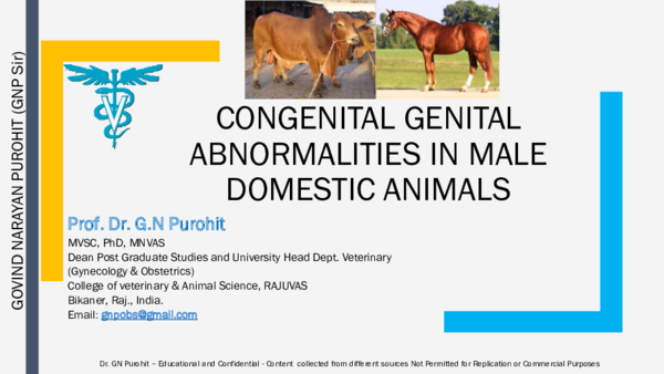 (PDF) CONGENITAL GENITAL ABNORMALITIES IN MALE DOMESTIC ANIMALS