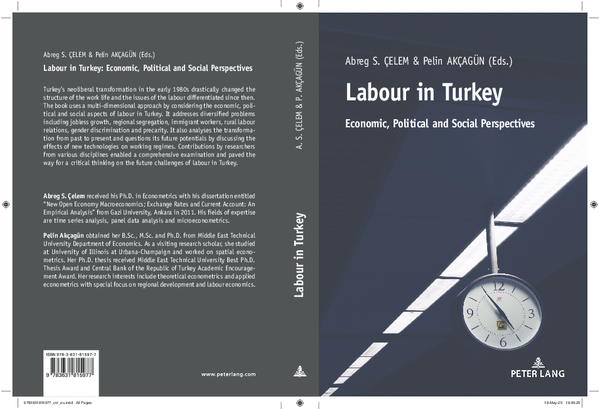 (PDF) The Emerging Patterns of Rural Labour Relations in Turkey