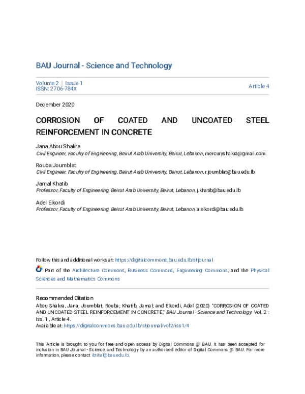 Abou shakra essay picture