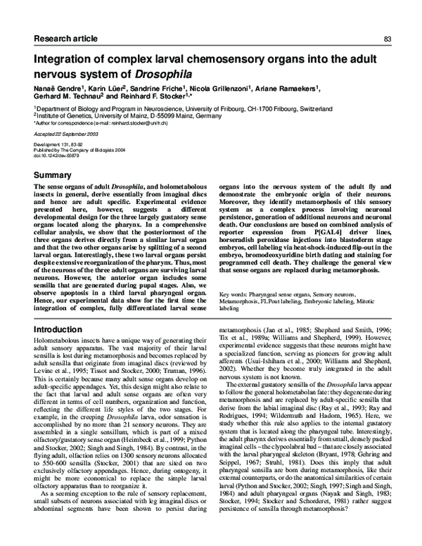 (PDF) Integration of complex larval chemosensory organs into the adult ...