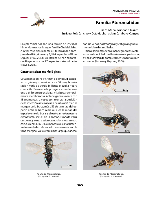 (PDF) Familia Pteromalidae