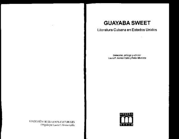 Damaso alonso gustavo perez firmat essay 06 picture