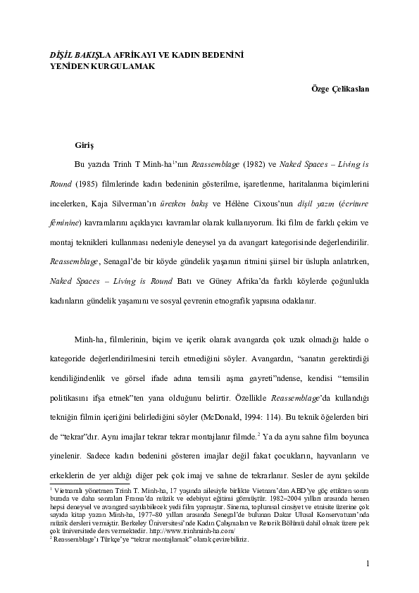 Feminist Film Research Papers Academia Edu