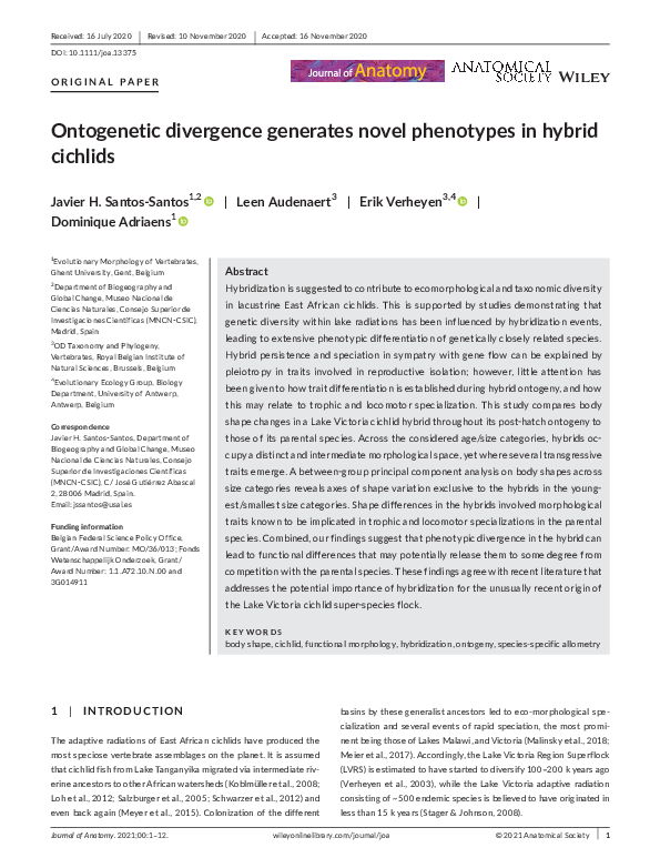 (PDF) Ontogenetic divergence generates novel phenotypes in hybrid cichlids