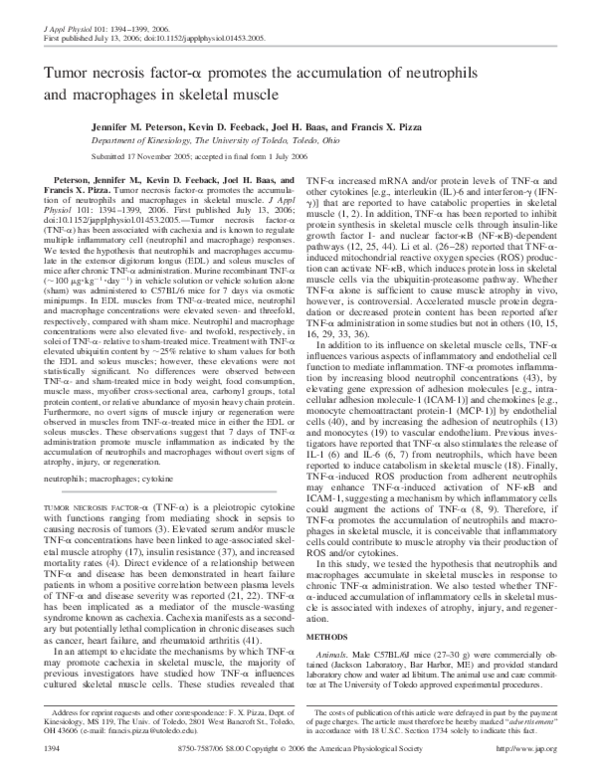 (PDF) Tumor necrosis factor- promotes the accumulation of neutrophils ...