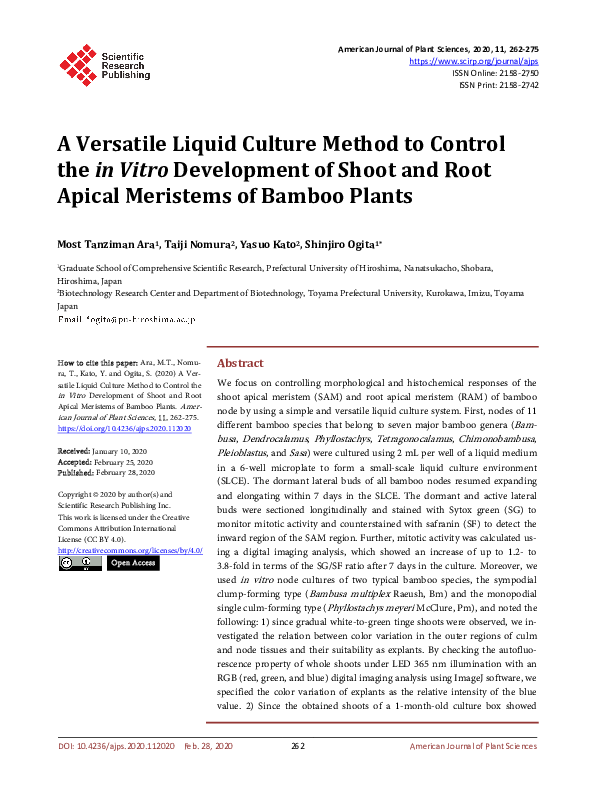 (PDF) Vitro Development of Shoot and Root Apical Meristems of Bamboo Plants
