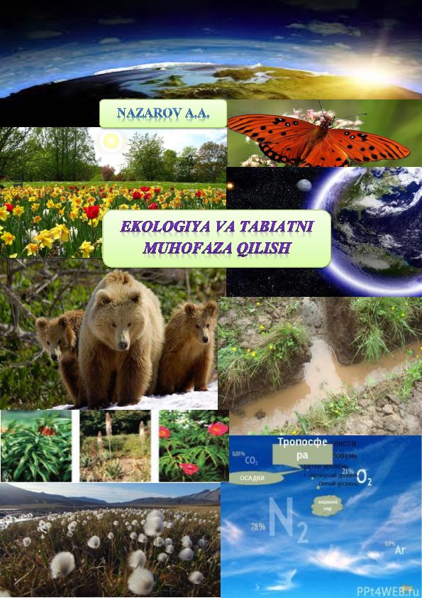 Astraxanda jinsiy aloqa