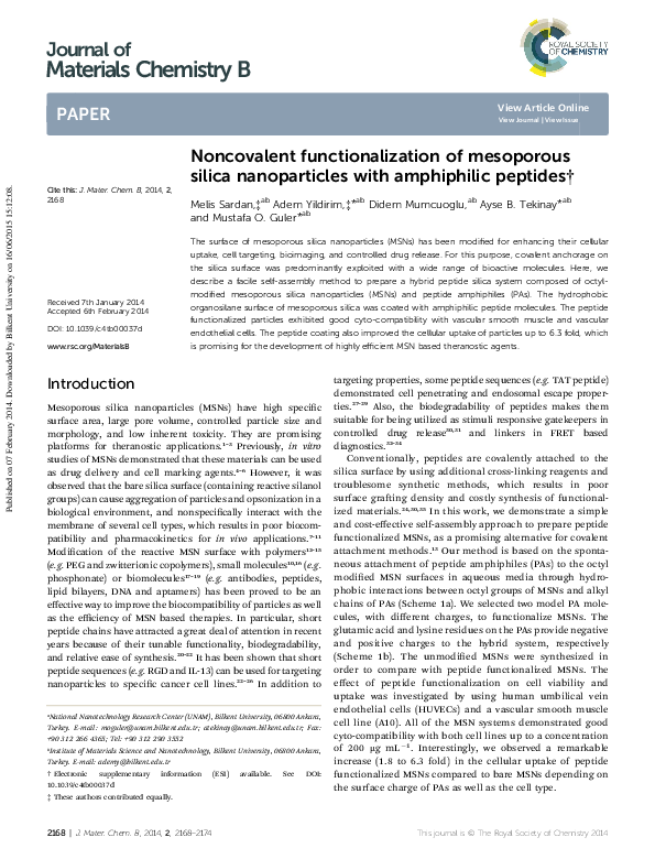 (PDF) Noncovalent functionalization of mesoporous silica nanoparticles ...