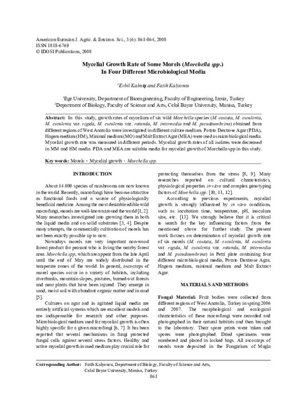 (PDF) Mycelial Growth Rate of Some Morels (Morchella spp.) In Four Different Microbiological