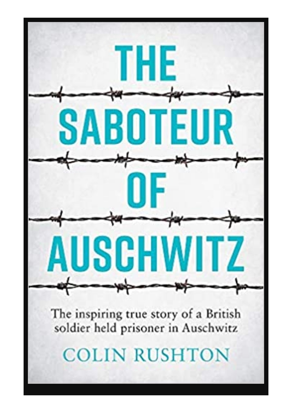 The saboteur essay 06 picture