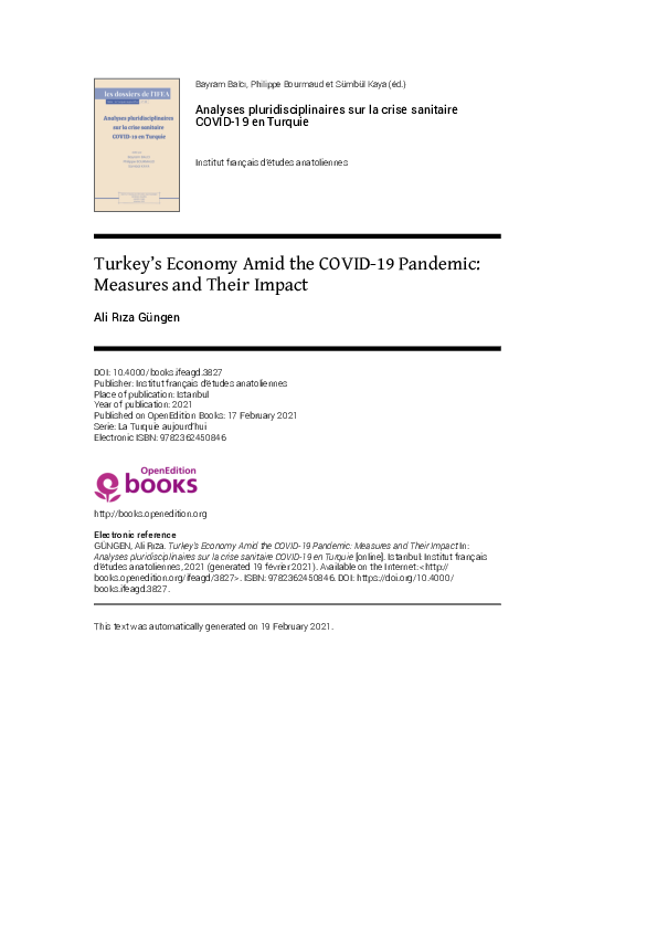 Turkey’s Economy Amid the COVID-19 Pandemic: Measures and Their Impact